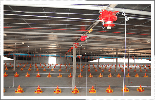 Cangzhou Phoenix Breeding Equipment Co., Ltd. 