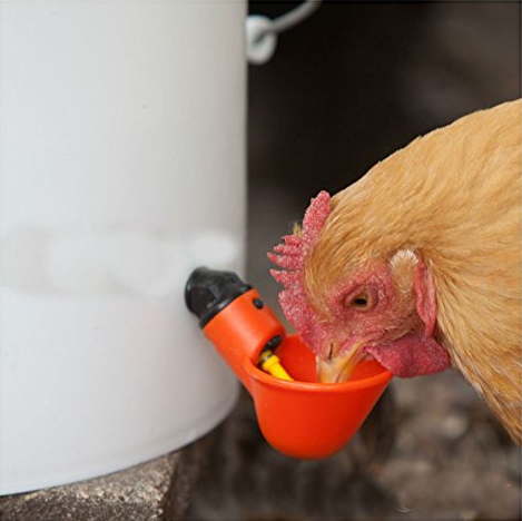 Auto Chicken Drinker Cup PH-20