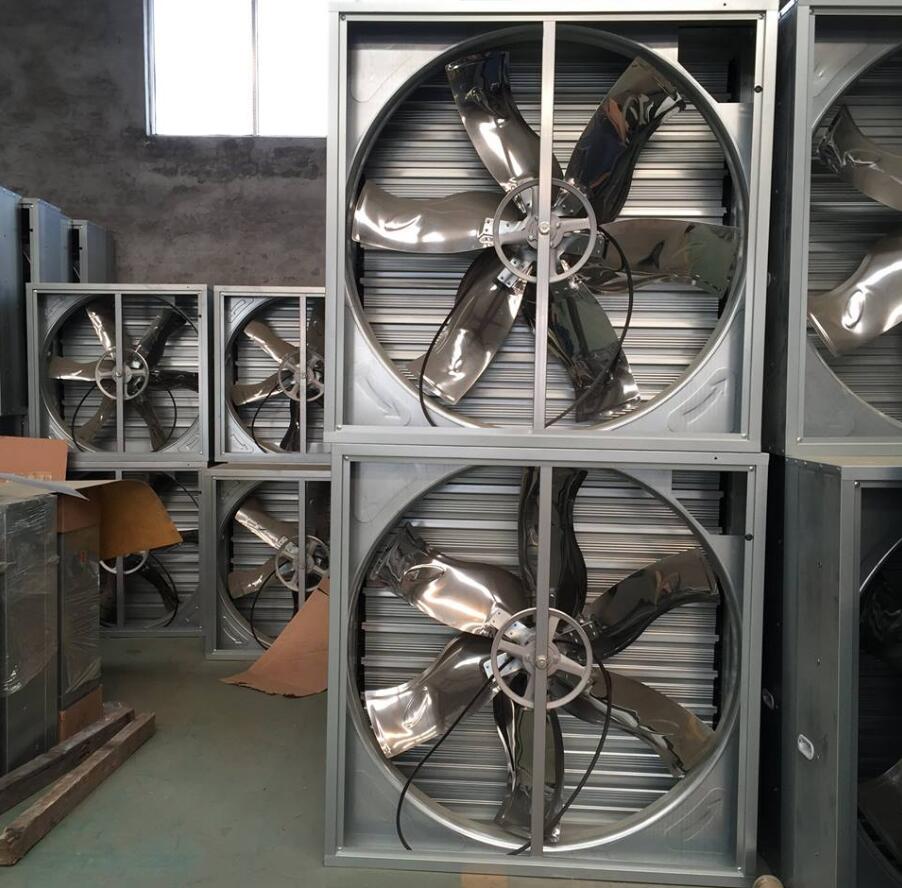 Hammer (Type) Exhaust Fan/Ventilation Fan