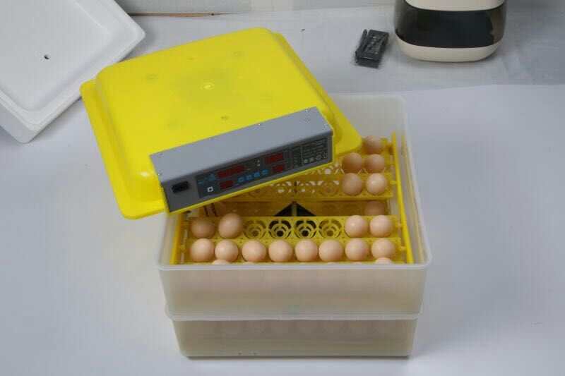 Mini Egg Incubator 112