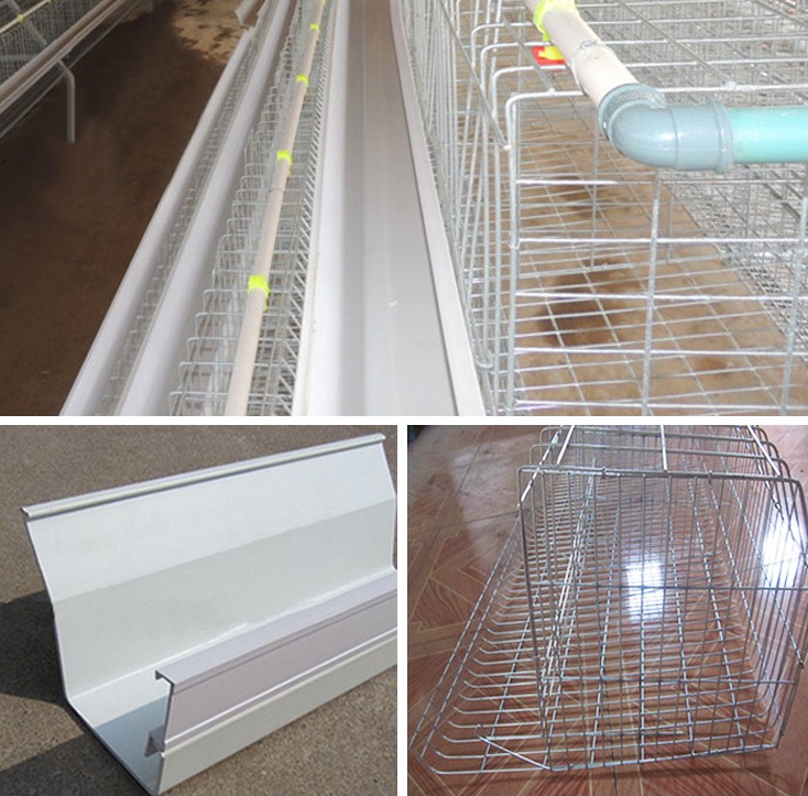 A-Type Chicken Cage