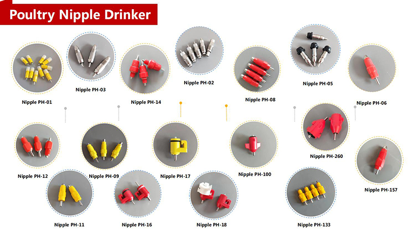 Advantages and disadvantages of common chicken drinkers