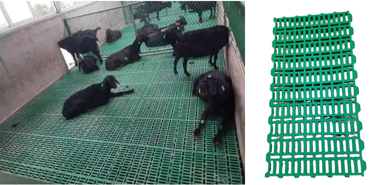 Chicken Leaking Manure Slatted Floor Plastic Fecal Leakage Board Duck And Goose Plastic Slat Floor For Poultry Farm House Coop PH-115