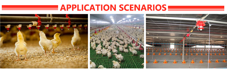 Chicken Leaking Manure Slatted Floor Plastic Fecal Leakage Board Duck And Goose Plastic Slat Floor For Poultry Farm House Coop PH-115