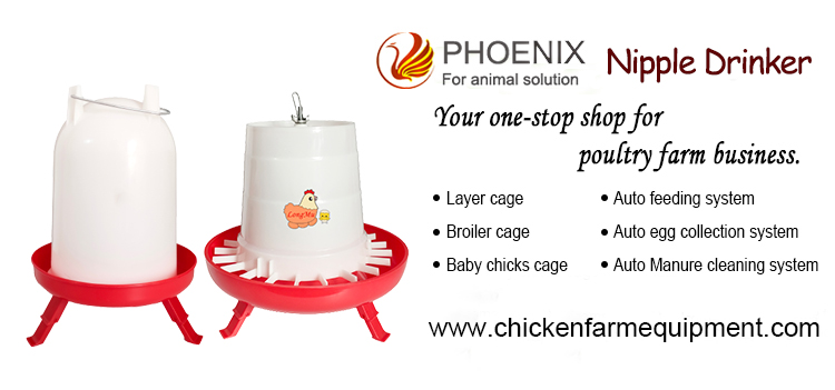 Chicken Drinker Kettle Adjustable Height Legs Hanging Poultry Feeder Bucket Chicken Coop for Free-range or Flat chicken farming
