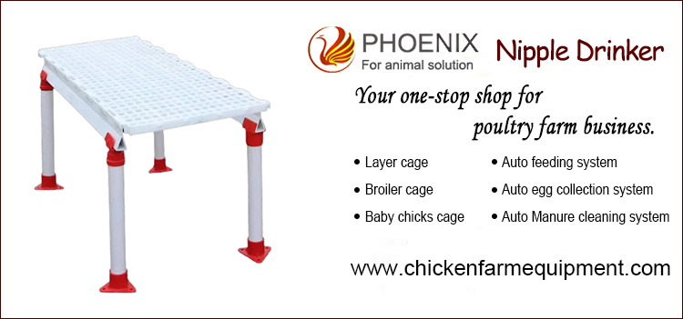 Chicken Leaking Manure Slatted Floor Plastic Fecal Leakage Board Duck And Goose Plastic Slat Floor For Poultry Farm House Coop PH-115