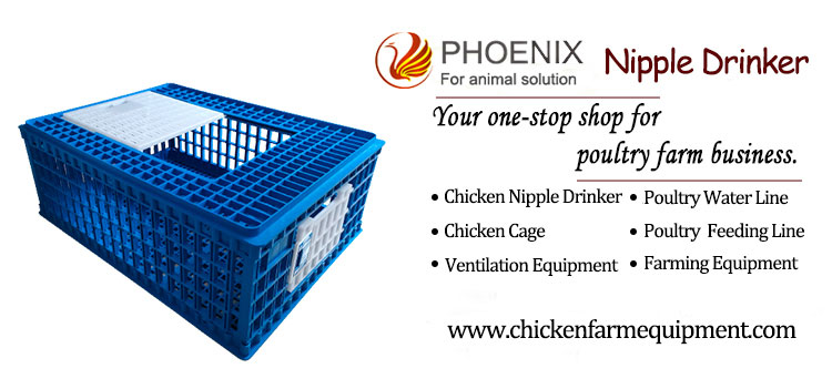 Chicken Transport Cage Foldable Poultry Farms Transport Boxes Plastic Broiler Adult Chicken Transfer Crate Ph-243