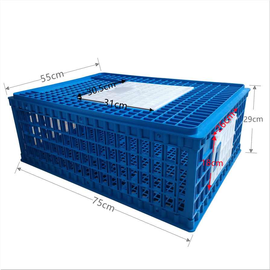 Chicken Transport Cage Foldable Poultry Farms Transport Boxes Plastic Broiler Adult Chicken Transfer Crate Ph-243