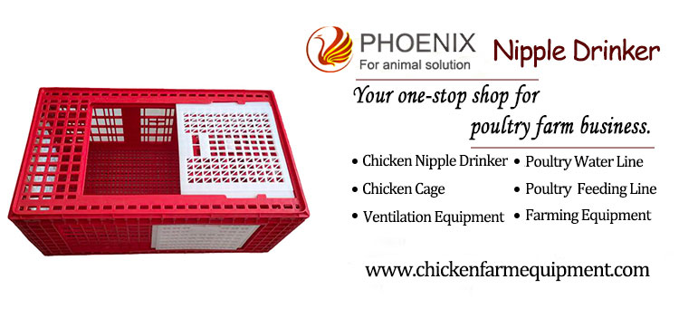 Plastic Turkey Transport Cage Live Chicken Transport Cage Foldable Poultry Transfer Crate Ph-274
