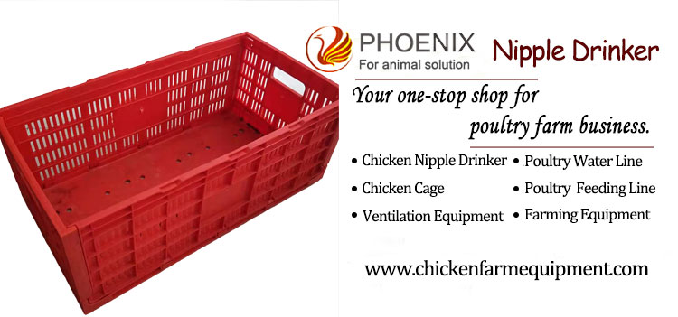 Foldable Plastic Egg Cages Egg Transfer Boxes For Chicken Eggs Collect Transport Pallet Box Ph-150