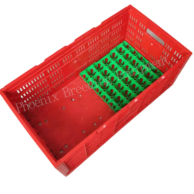 Foldable Plastic Egg Cages Egg Transfer Boxes For Chicken Eggs Collect Transport Pallet Box Ph-150