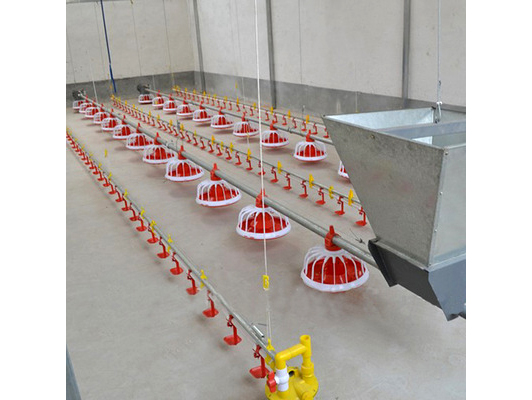 Large chicken equipment supplier