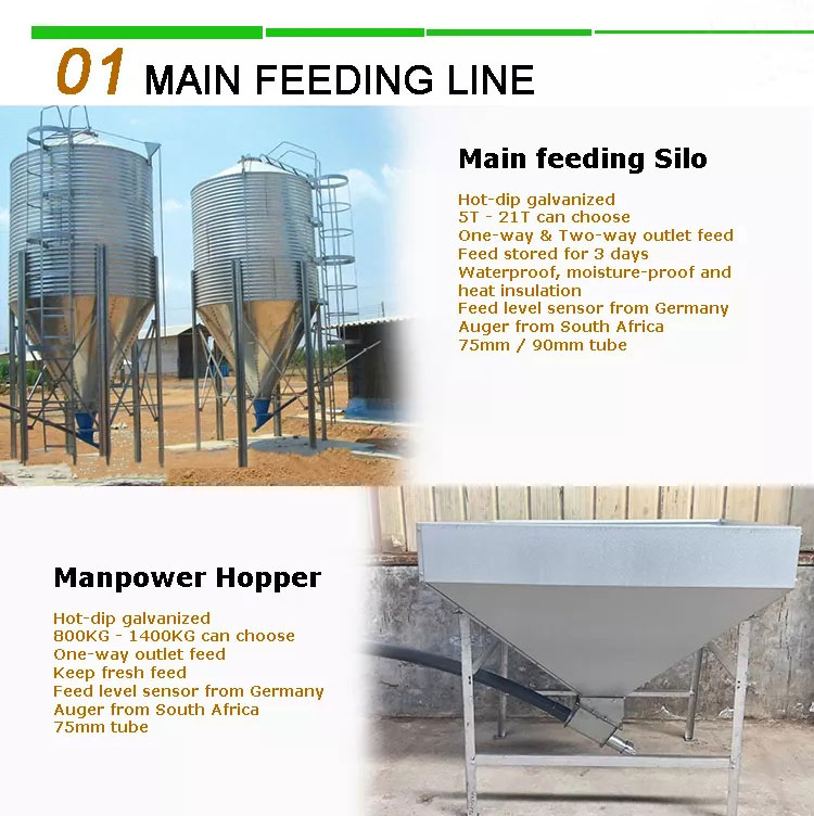 Broiler feeding Line and Drinking Line Breeding Equipment for Chicken Farm