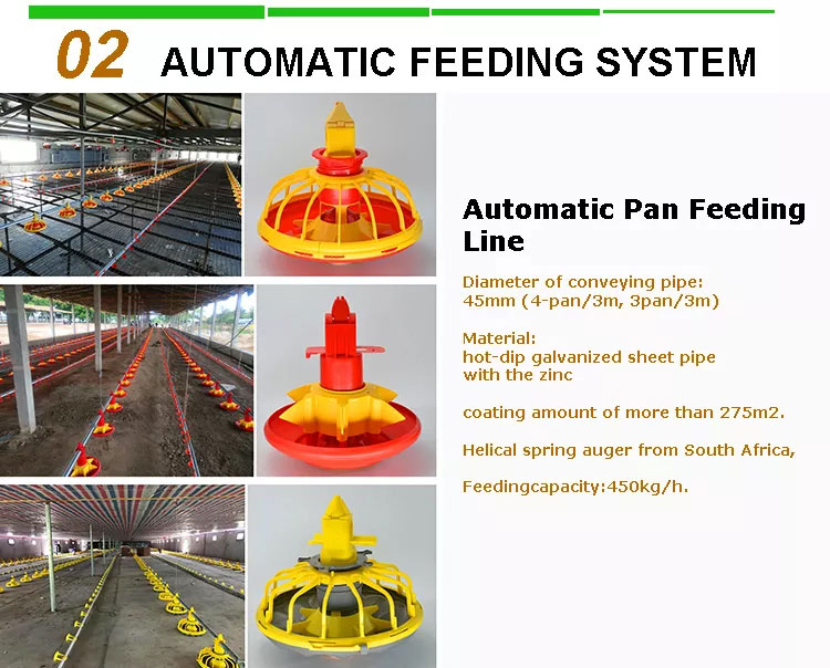 Broiler feeding Line and Drinking Line Breeding Equipment for Chicken Farm