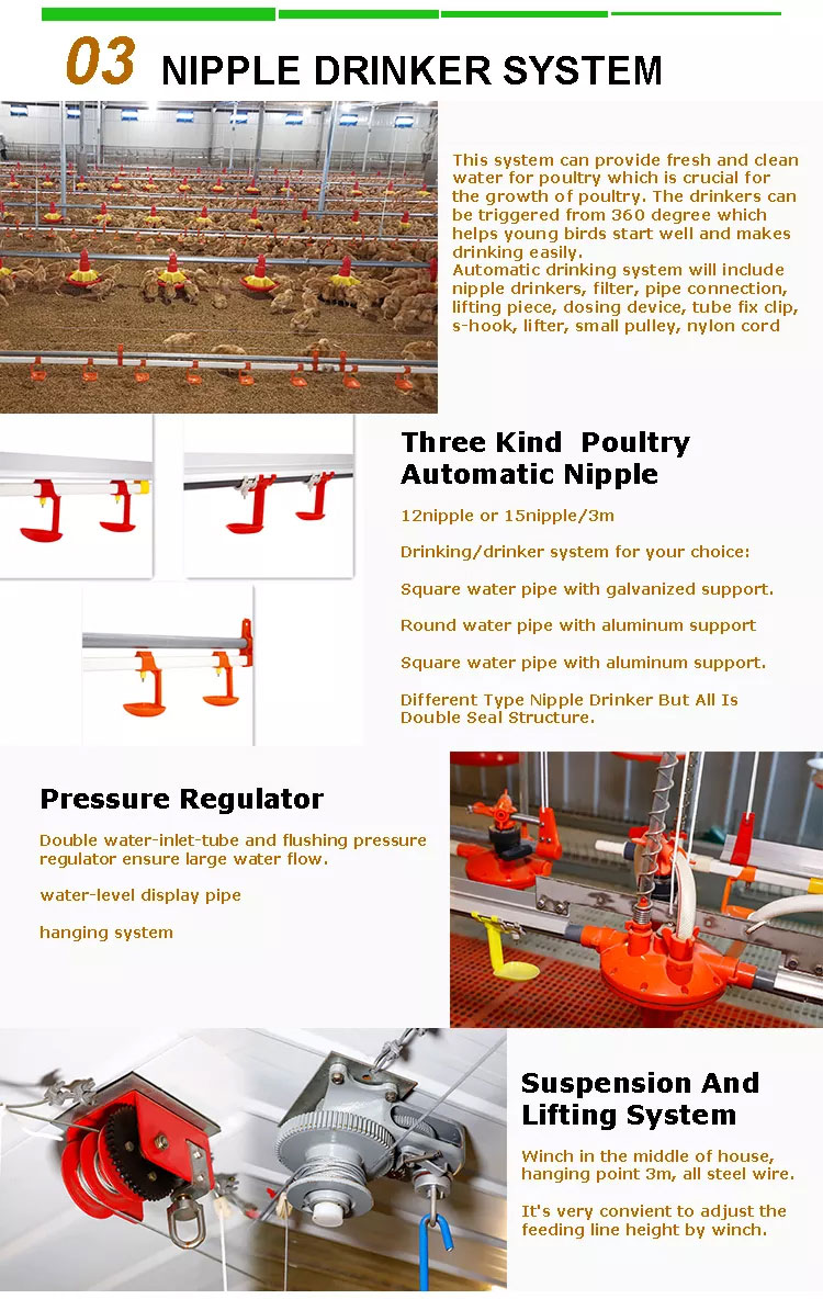 Broiler feeding Line and Drinking Line Breeding Equipment for Chicken Farm