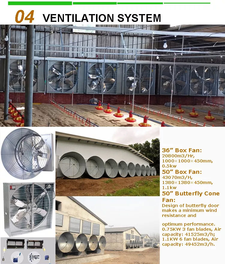 Broiler feeding Line and Drinking Line Breeding Equipment for Chicken Farm