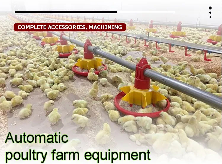Broiler feeding Line and Drinking Line Breeding Equipment for Chicken Farm