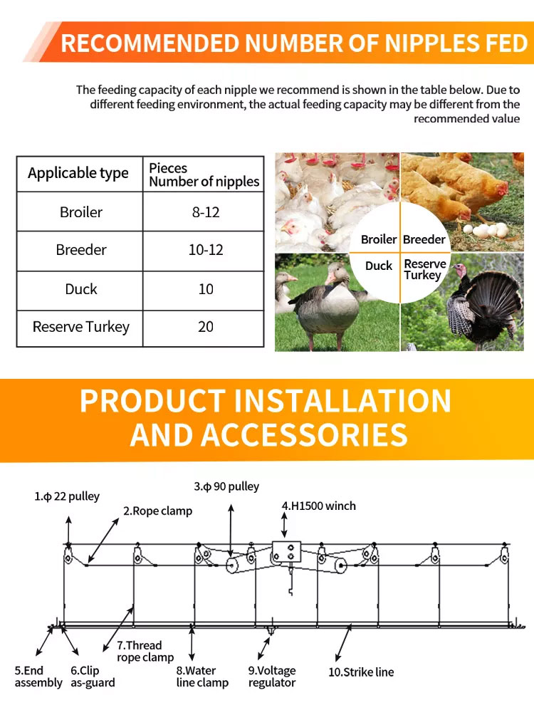 chicken-water-system2.jpg