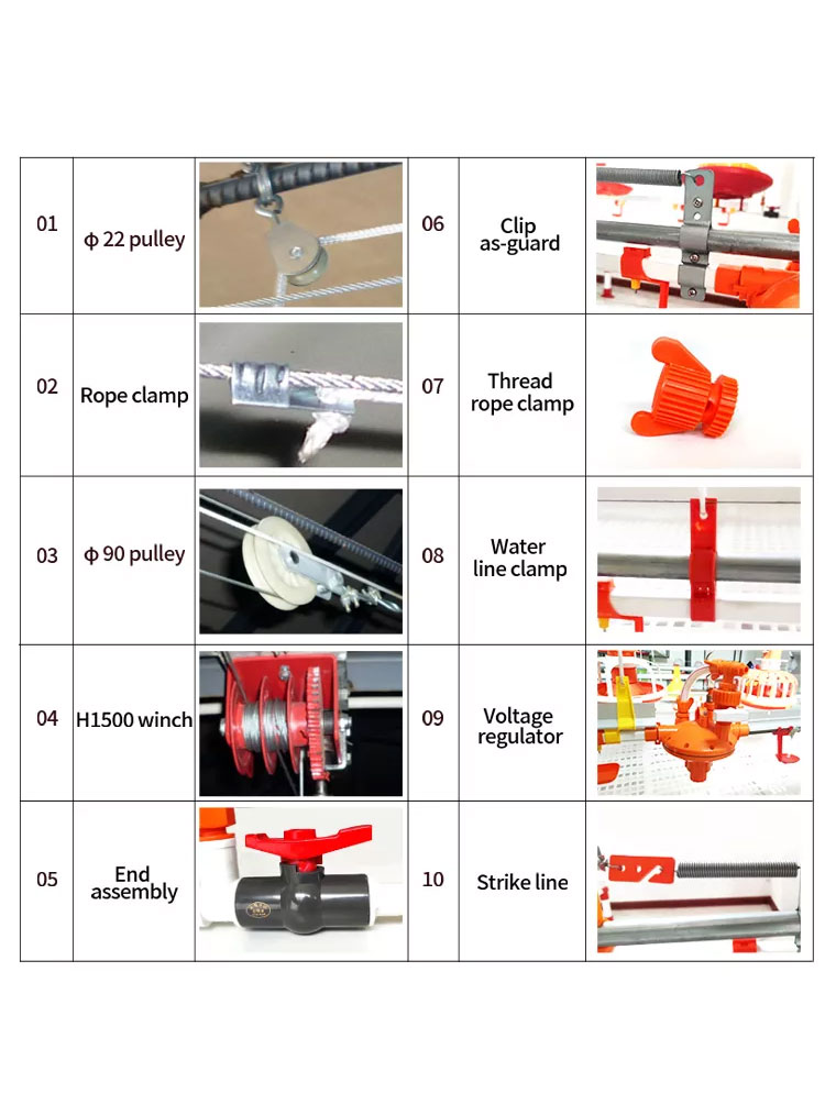 chicken-water-system3.jpg
