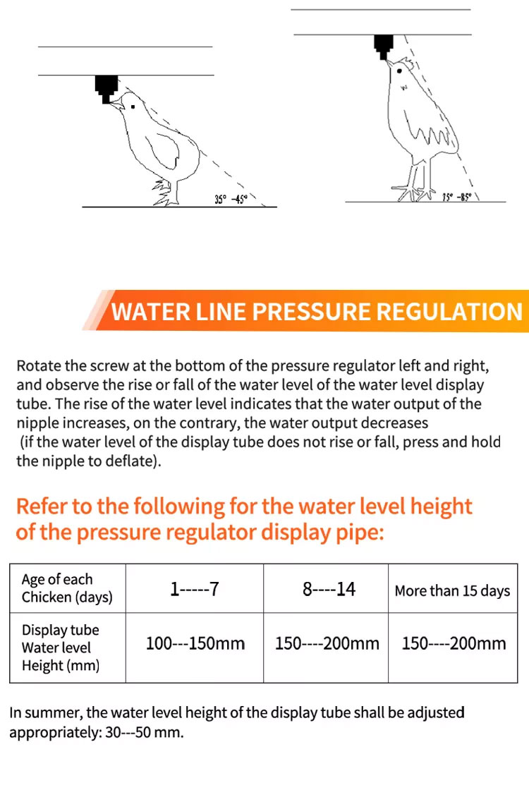 chicken-water-system9.jpg