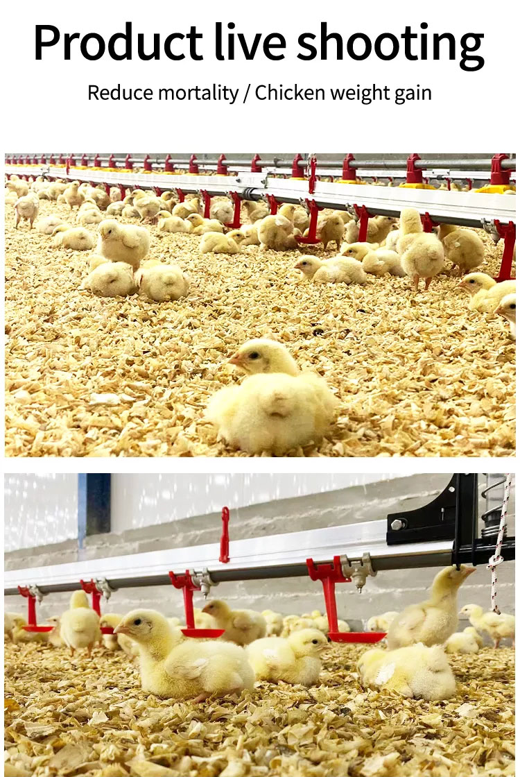 chicken-water-system10.jpg