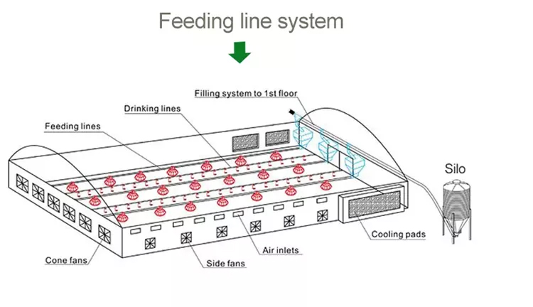 feeding line drawing.jpg