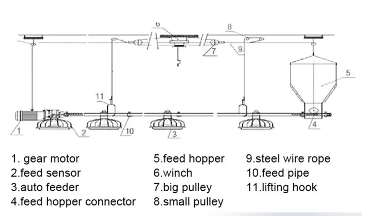 feeding line drawing2.jpg