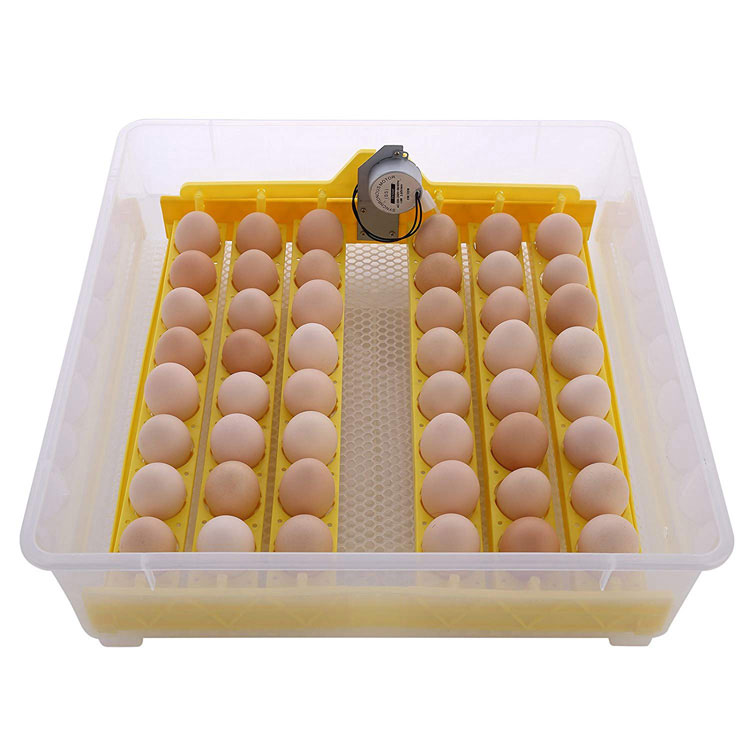 Mini Egg Incubator Fully Automatic Hatching Eggs Machine Chicken Egg Incubators