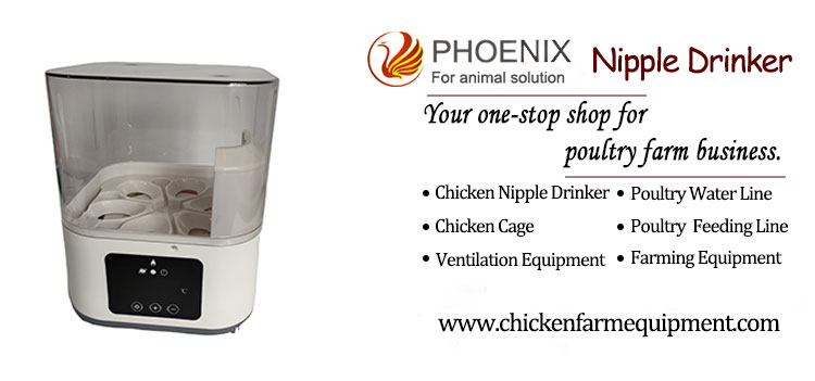 6 Mini Eggs Incubator Chicken Duck Pigeon Quail Automatic Egg Hatchery Machine Home Use Hatching