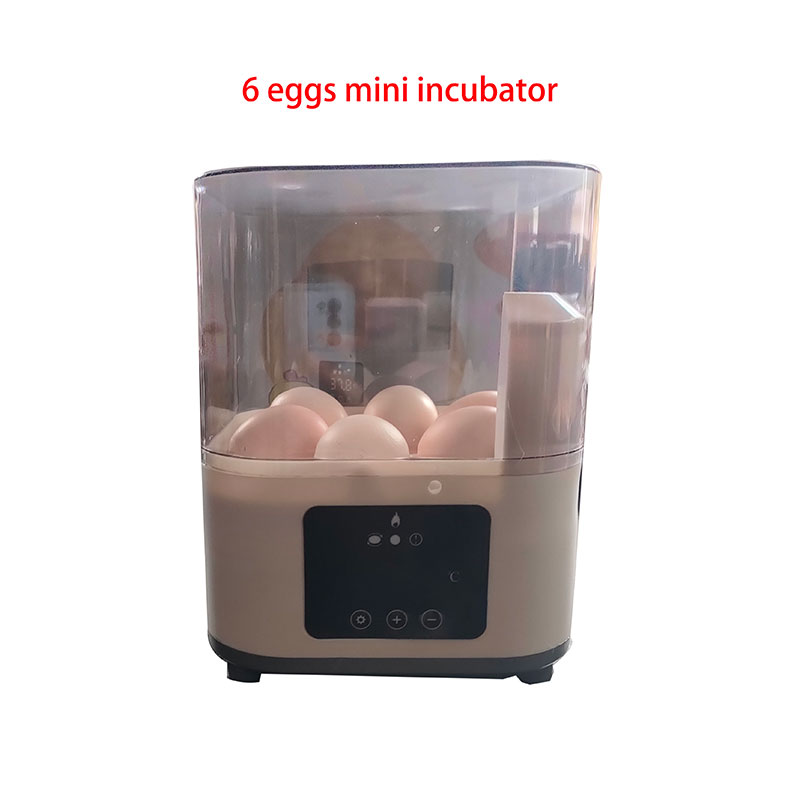 6 Mini Eggs Incubator Chicken Duck Pigeon Quail Automatic Egg Hatchery Machine Home Use Hatching