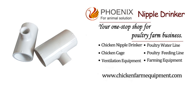 Chicken Waterer PVC Tee Fittings with 1/8" FTP Threads for 1/2" Plastic Pipe Schedule 40 for Poultry Auto-Fill Water Cups Watering Nipples PH-27