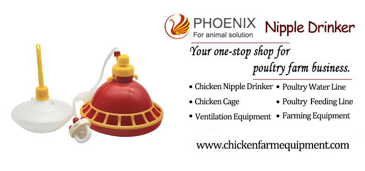 Plasson Automatic Chicken Water Drinking Fountains Hanging Bell Drinker Equipment in Poultry Farm PH-44