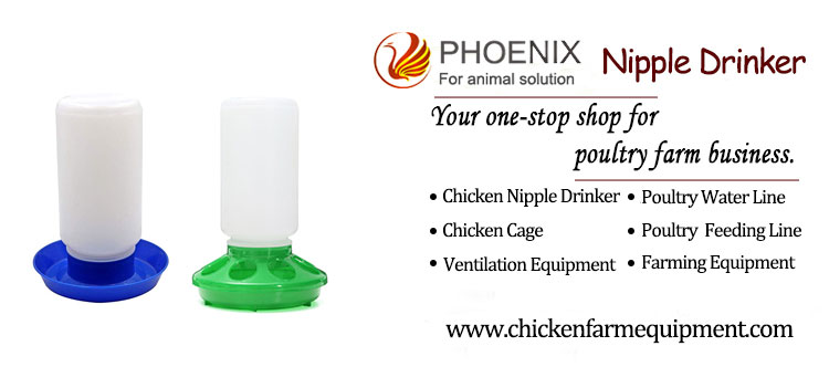 Chicken Feeders And Drinker Barrel Auto Plastic Poultry Feeding and Drinking Bucket Farm Equipment