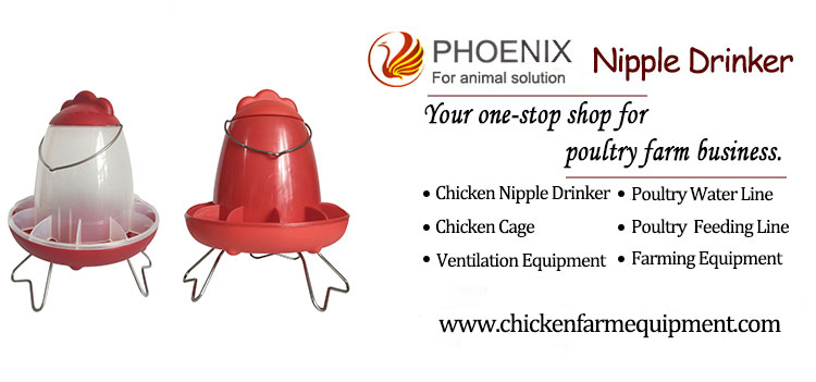 Chicken Feeders Poultry Plastic Feeder Barrel with Legs Stand Coop Plastic Automatic Farming Equipment