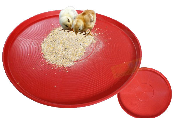 Chicken Feeding Plastic Plate Automatic Baby Chick Feeder Plate For Poultry Farm Equipment