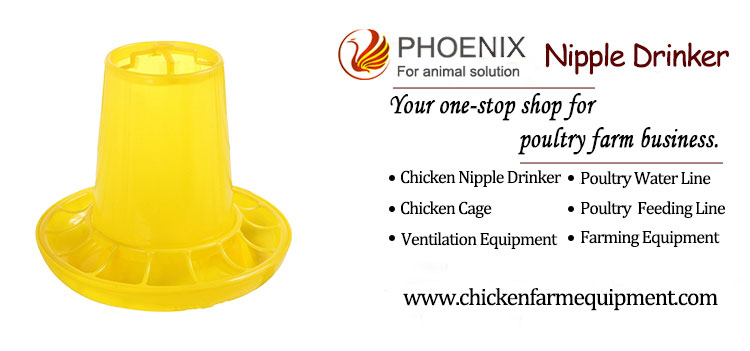 Chicken Feeder Bucket Poultry Feeding Bucket Chicken Coop for Free-range Raising Chickens