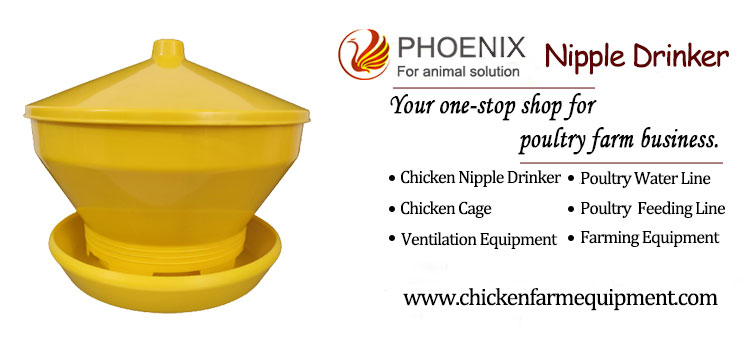 Chicken Feeders Plastic Bucket Automatic Turbo Basin Poultry Barrel Farming Chicken Coop