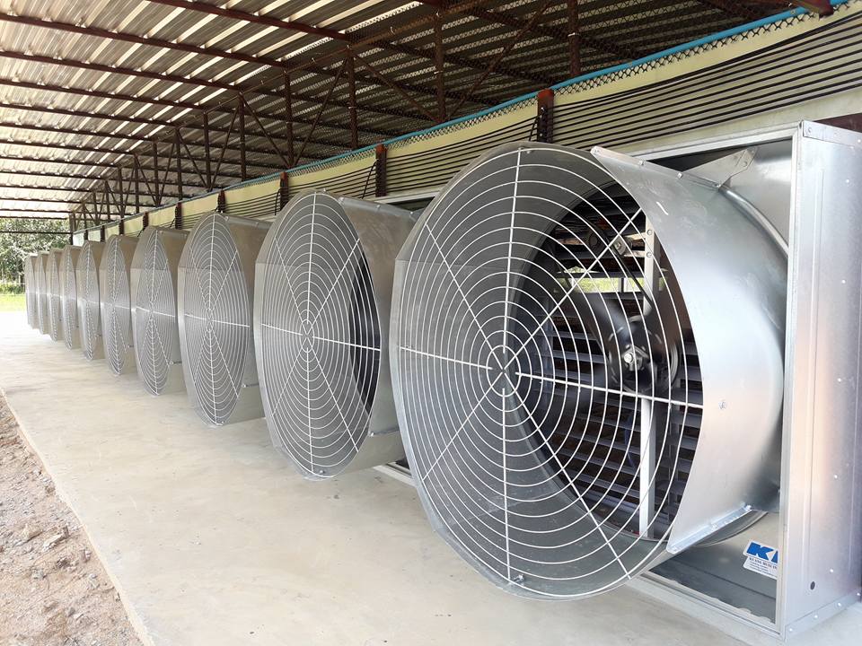 chicken farm ventilation system