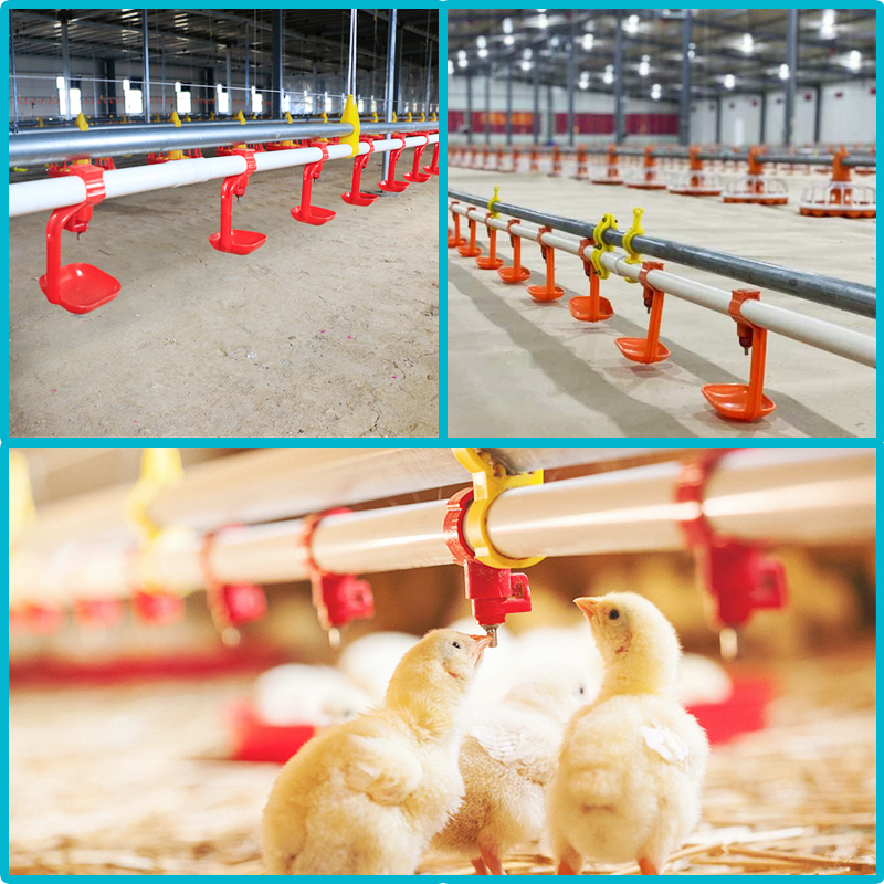 Purchasing Guide for Automatic Chicken Coop Water Lines: Key Considerations and Quality Discussion Regarding PVC Pipes