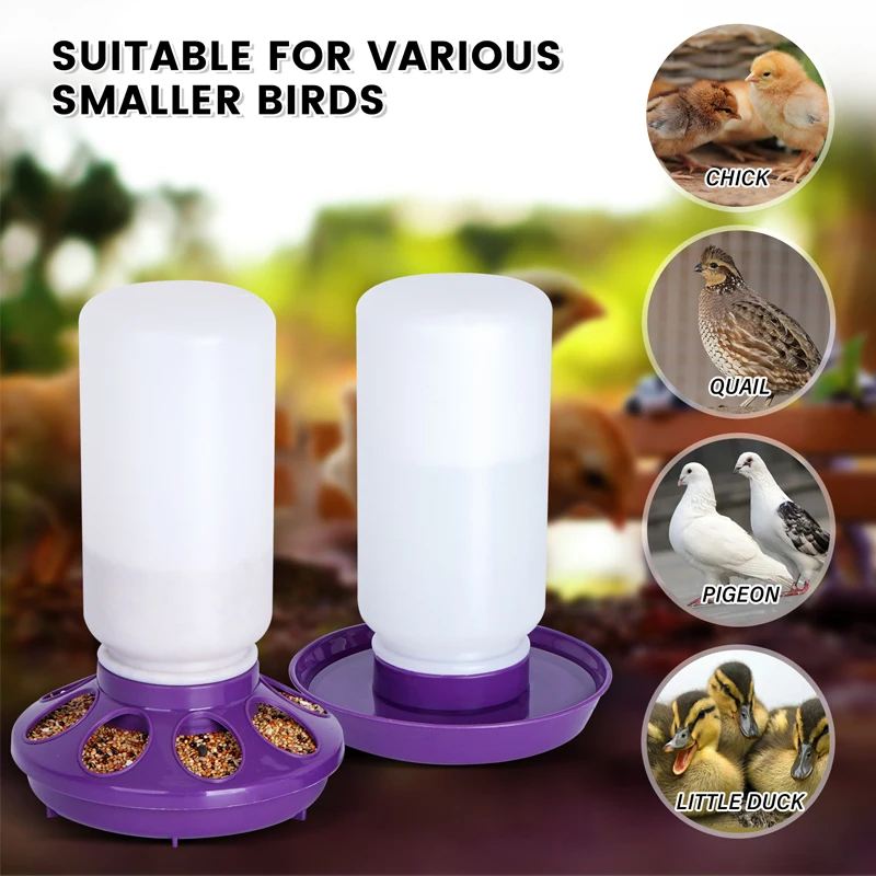 The Perfect Choice for Backyard Chicken Raising: 1L Chick Waterer and 1KG Chick Feeder, DIY Poultry Feeding and Watering System