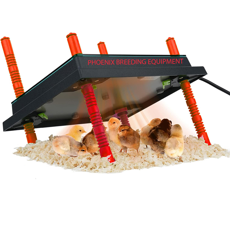 The Perfect Choice for Backyard Chicken Raising: 1L Chick Waterer and 1KG Chick Feeder, DIY Poultry Feeding and Watering System