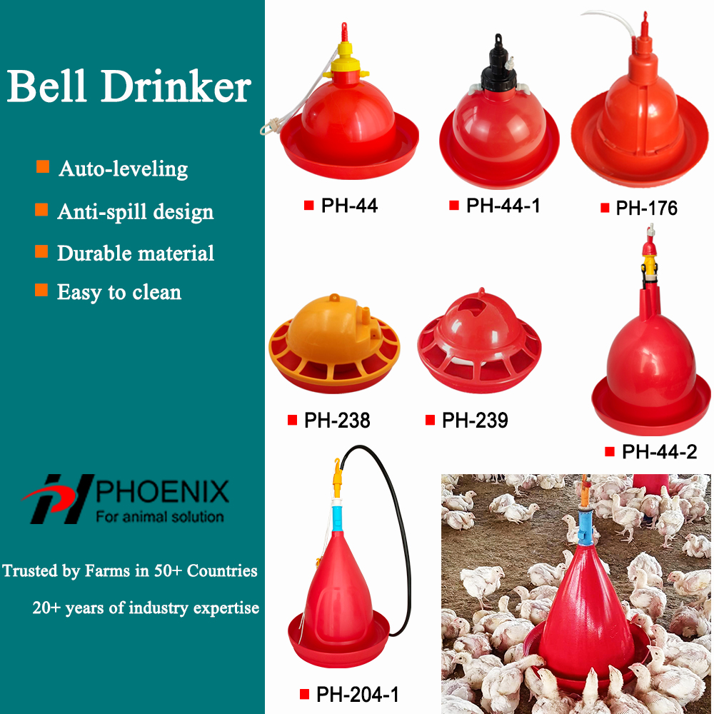 Comparative Analysis of Different Types of Waterers: Nipple Drinkers, Bell Drinkers, and Plastic Bucket Waterers