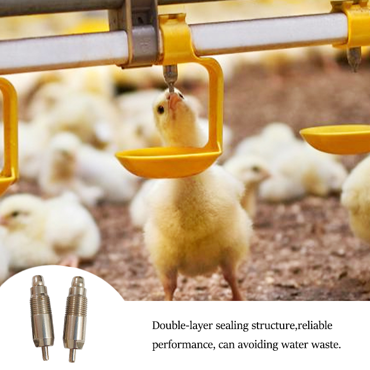 The Ultimate Guide to Chicken Nipple Drinkers: Features, Benefits, and Usage
