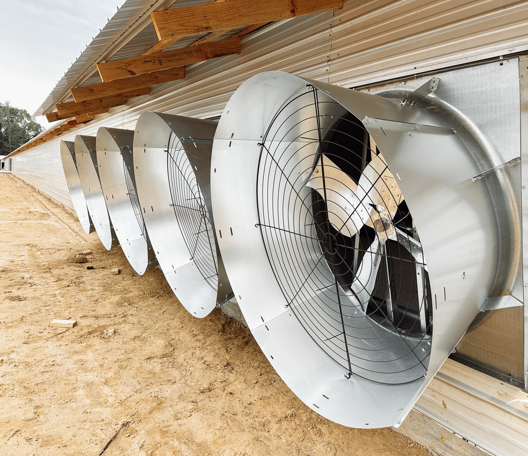 Cangzhou Phoenix: A One - Stop Solution Provider for Poultry Farming Equipment Cangzhou Phoenix: A One - Stop Solution Provider for Poultry Farming Equipment