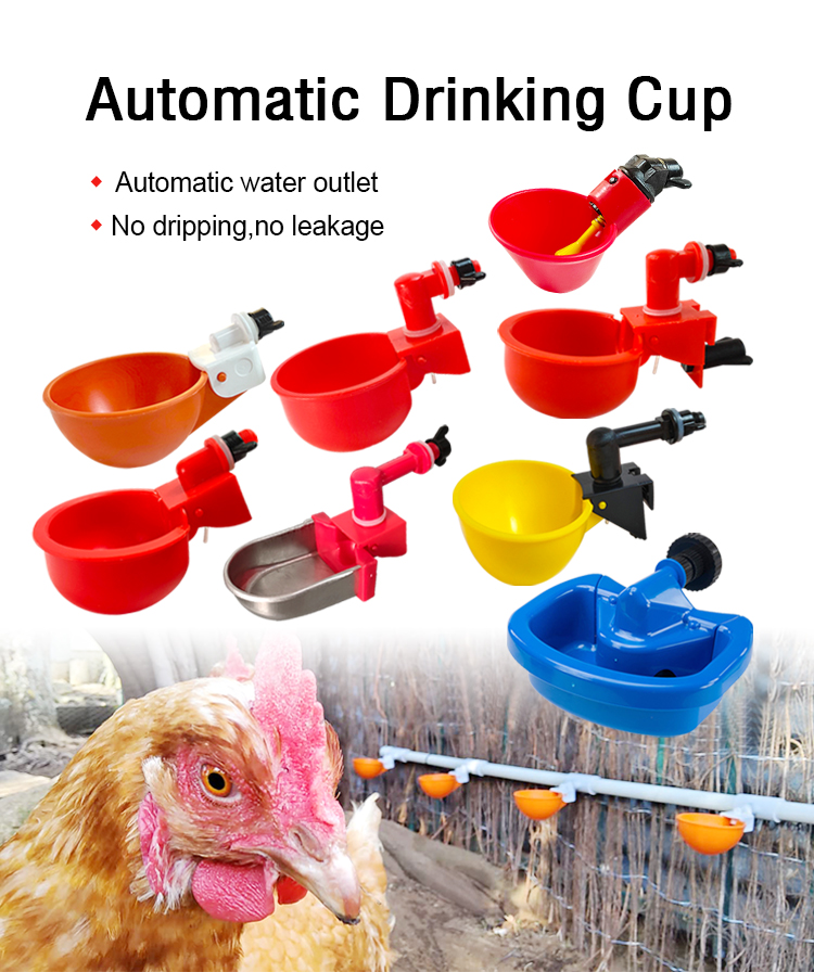 chicken water cup (9).jpg chicken water cup (9).jpg