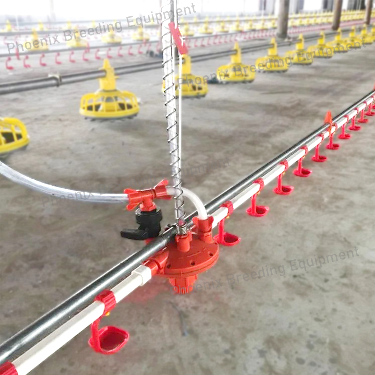 chicken water line 2.jpg