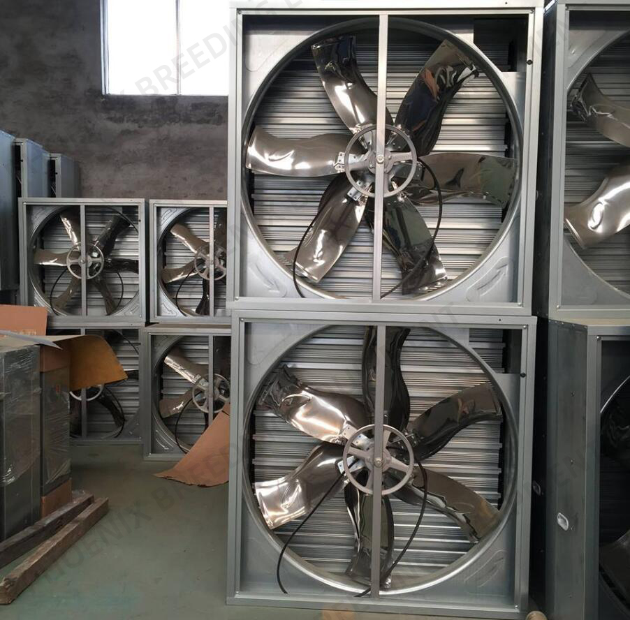 Optimizing Poultry House Conditions During Minimum Ventilation