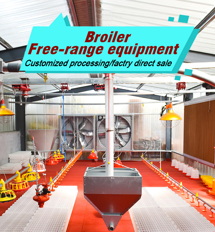 Smart Poultry Farming Equipment for Europe, France Smart Poultry Farming Equipment for Europe, France