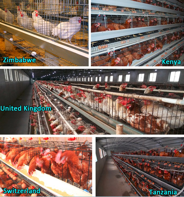 Smart Poultry Farming Equipment for Europe, France Smart Poultry Farming Equipment for Europe, France