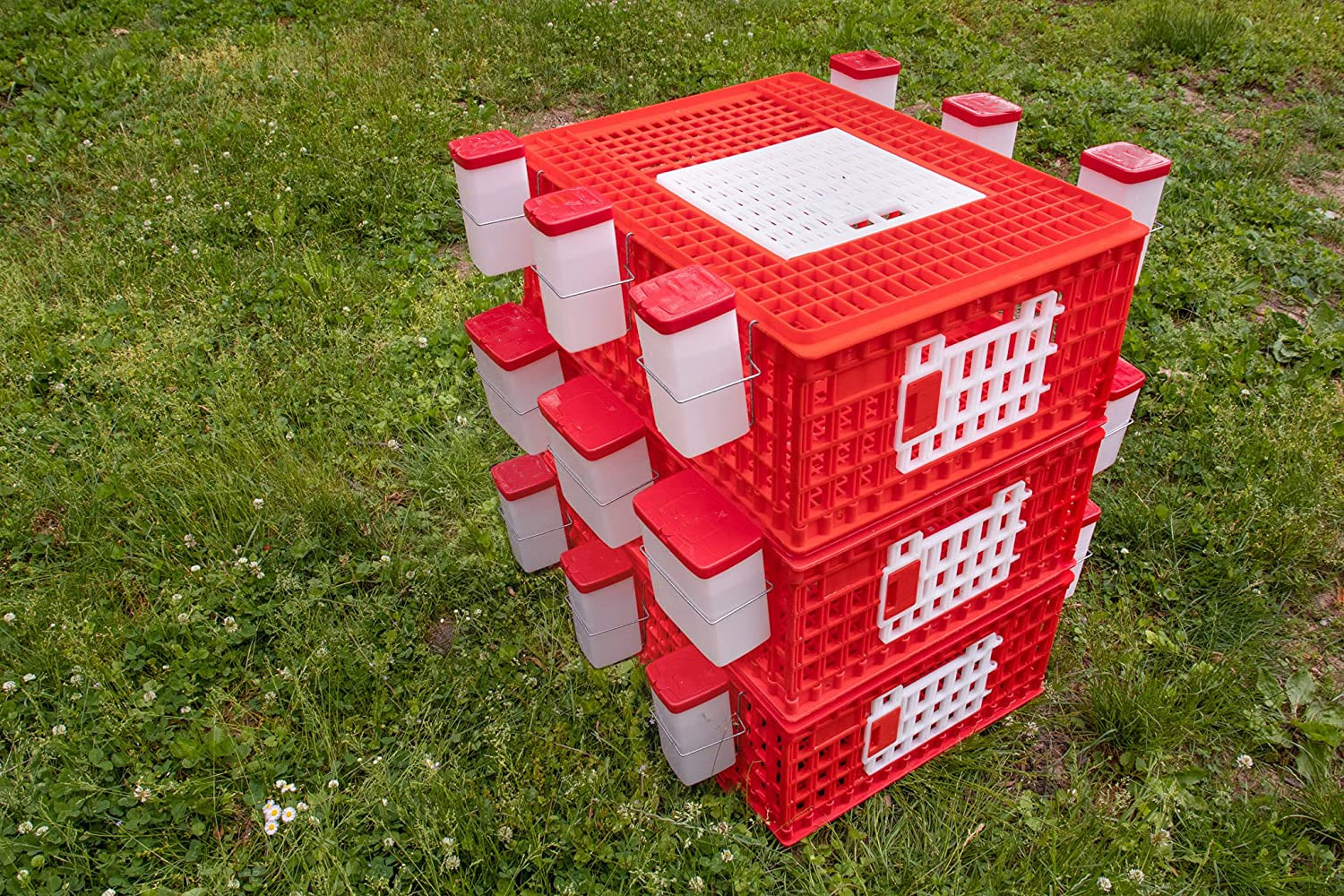 Smart Poultry Farming Equipment for Europe, France Smart Poultry Farming Equipment for Europe, France